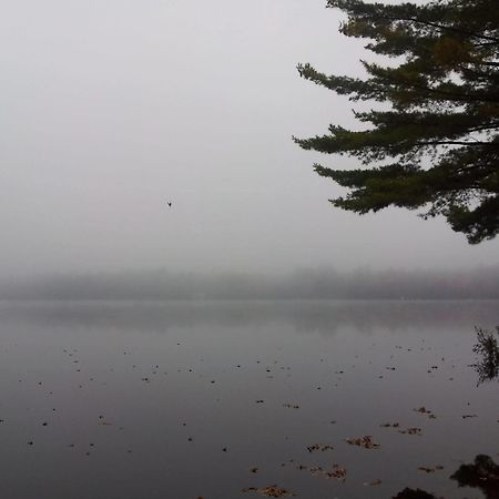 Black Lake Cabins Torrance Esterno foto