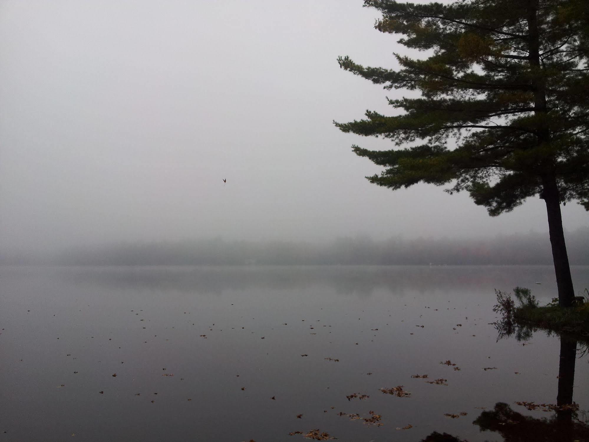 Black Lake Cabins Torrance Esterno foto