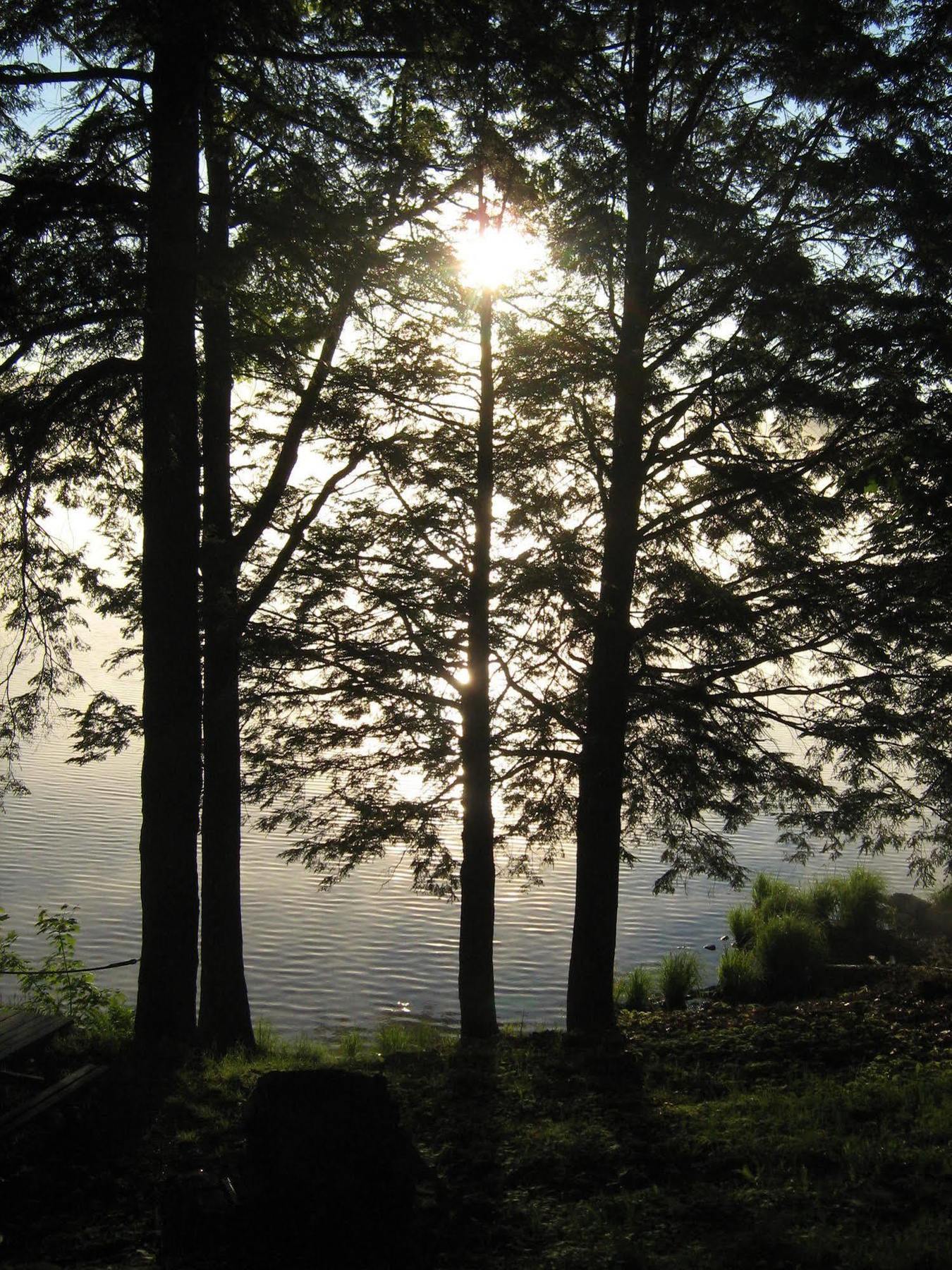 Black Lake Cabins Torrance Esterno foto
