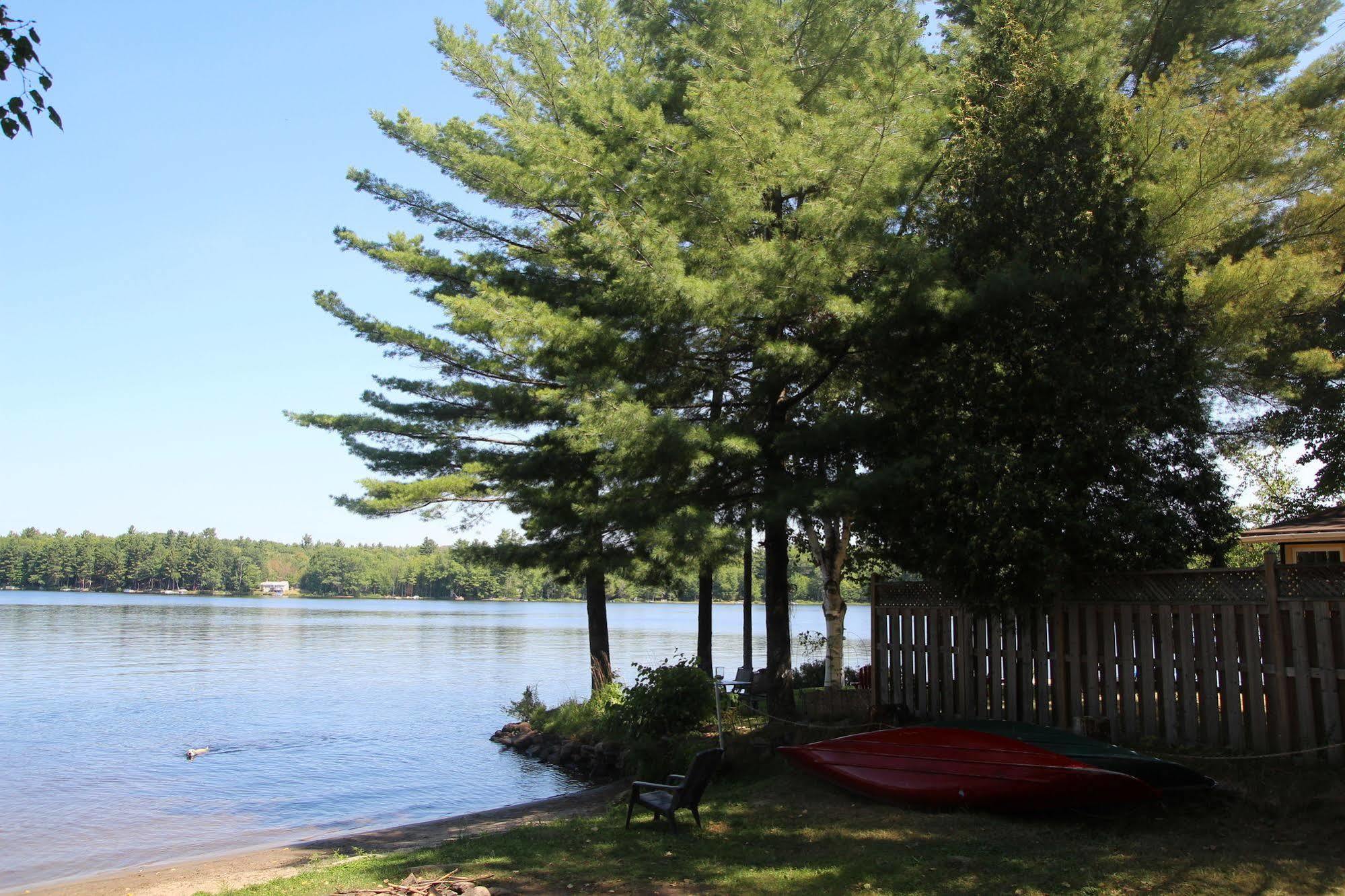 Black Lake Cabins Torrance Esterno foto